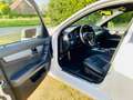 Mercedes-Benz C 200 183PS AMG Paket-Plus Edition 1 Weiß - thumbnail 6