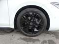 Volkswagen Passat Variant 2.0 TDI DSG R-Line AHK/Nav/BlackS Weiß - thumbnail 12