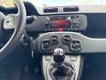 Fiat Panda POP Blanco - thumbnail 12