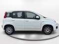 Fiat Panda POP Blanco - thumbnail 7