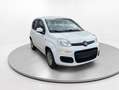 Fiat Panda POP Blanco - thumbnail 8