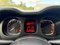 Fiat Panda POP Blanco - thumbnail 19