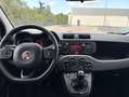 Fiat Panda POP Blanco - thumbnail 11