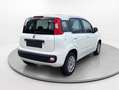 Fiat Panda POP Blanco - thumbnail 6