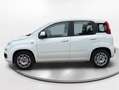 Fiat Panda POP Blanco - thumbnail 2