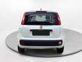 Fiat Panda POP Blanco - thumbnail 4