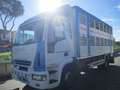 Iveco EUROCARGO 120/24 TRASPORTO BESTIAME Blanc - thumbnail 3