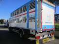 Iveco EUROCARGO 120/24 TRASPORTO BESTIAME Blanc - thumbnail 8