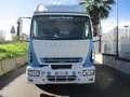 Iveco EUROCARGO 120/24 TRASPORTO BESTIAME Blanc - thumbnail 2