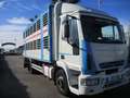 Iveco EUROCARGO 120/24 TRASPORTO BESTIAME Blanc - thumbnail 1