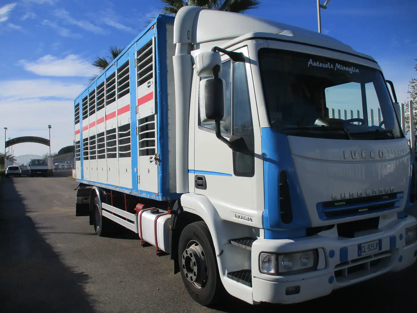 Iveco EUROCARGO 120/24 TRASPORTO BESTIAME Blanc - 1