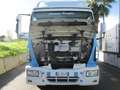 Iveco EUROCARGO 120/24 TRASPORTO BESTIAME Blanc - thumbnail 5