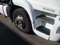 Iveco EUROCARGO 120/24 TRASPORTO BESTIAME Blanc - thumbnail 4