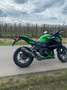 Kawasaki Z 300 performance zelena - thumbnail 5