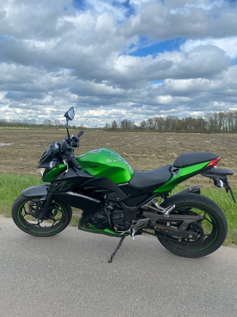 Kawasaki Z 300 performance Зелений - 2