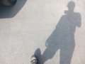 Fiat Ducato Blanc - thumbnail 8