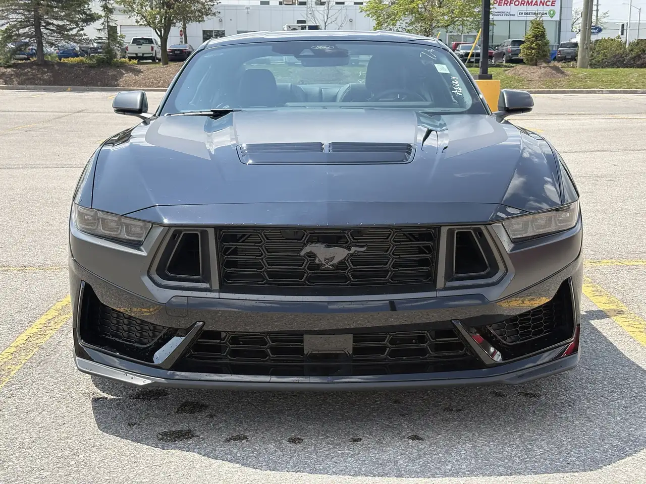 Ford Mustang photo Ford Mustang