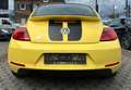 Volkswagen Beetle BEETLE *SPORT*1HAND-AUTOMATIK-ALLWETTER-KLIMA-NR Gelb - thumbnail 6