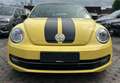 Volkswagen Beetle BEETLE *SPORT*1HAND-AUTOMATIK-ALLWETTER-KLIMA-NR Gelb - thumbnail 5
