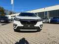 Suzuki S-Cross 1.4 Boosterjet 4WD GL+ *LED Navi Kamera* Weiß - thumbnail 6
