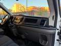 Ford Transit 350 2.0 EcoBl.130CV l4 Ca Trend sponda caricatrice Weiß - thumbnail 6