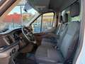 Ford Transit 350 2.0 EcoBl.130CV l4 Ca Trend sponda caricatrice Weiß - thumbnail 8