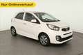 Kia Picanto Picanto 1.2 Dream Team BLUETOOTH+SHZ+ALLWETTER+ White - thumbnail 1