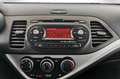 Kia Picanto Picanto 1.2 Dream Team BLUETOOTH+SHZ+ALLWETTER+ White - thumbnail 14