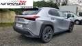 Lexus UX 250h Hybride 4WD MC Luxe TO Argento - thumbnail 6