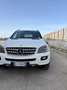 Mercedes-Benz ML 320 cdi Sport edition10 auto - thumbnail 4