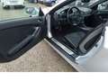 Mercedes-Benz SLK 200 Kompr. Airscarf Bi-Xenon PDC Leder Navi KD neu Silber - thumbnail 29
