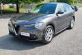 Alfa Romeo Stelvio Stelvio 2.2 Turbodiesel 190 CV AT8 RWD Executive Argent - thumbnail 1