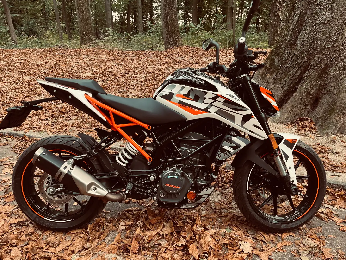 KTM 125 Duke Blanc - 1