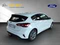 Ford Focus Hybrid TITANIUM neues Mod., AHK, Navi,..... Blanco - thumbnail 5