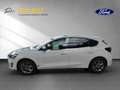 Ford Focus Hybrid TITANIUM neues Mod., AHK, Navi,..... Blanco - thumbnail 2