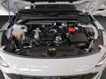 Ford Focus Hybrid TITANIUM neues Mod., AHK, Navi,..... Blanco - thumbnail 19