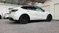 Tesla Model Y RWD | Spoiler | *GERESERVEERD* Wit - thumbnail 14