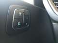 Ford Kuga ST-LINE X 243 PS Plug-In-Hybrid PHEV Grün - thumbnail 20