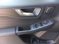 Ford Kuga ST-LINE X 243 PS Plug-In-Hybrid PHEV Grün - thumbnail 13