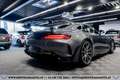 Mercedes-Benz AMG GT R*SCHALEN*CARBON*AMG PERFORMANCE* Grau - thumbnail 9