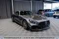 Mercedes-Benz AMG GT R*SCHALEN*CARBON*AMG PERFORMANCE* Grau - thumbnail 4