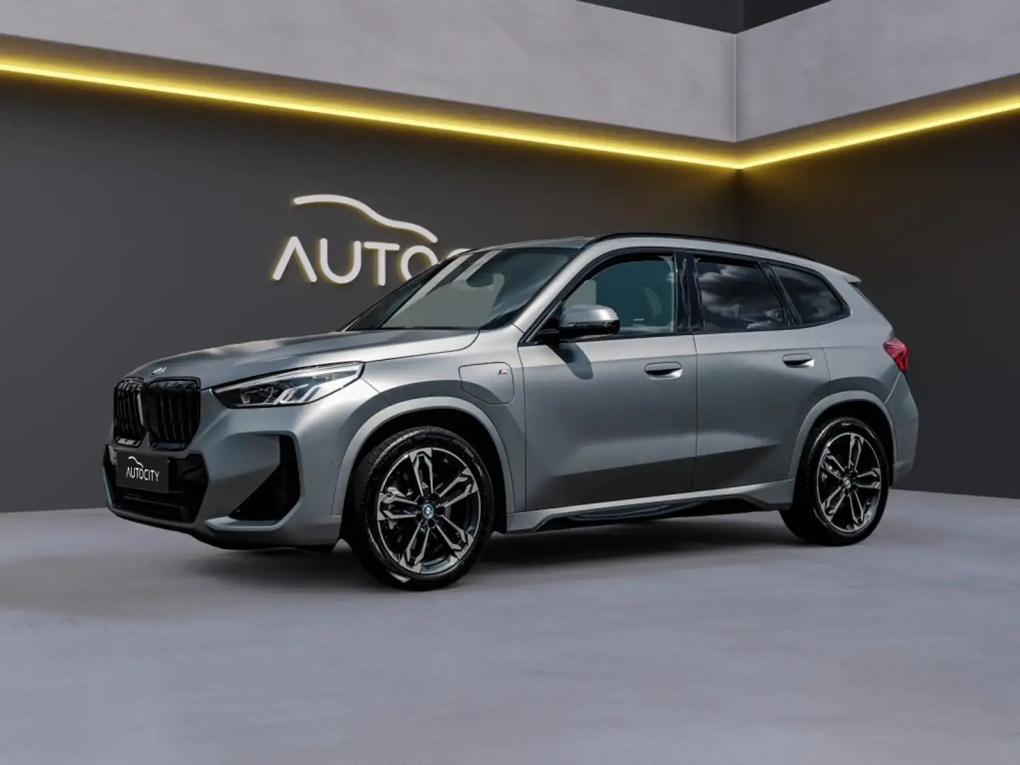 BMW X1 X1 xDrive30e xDrive M Sport Individual Frozen Grey Grijs - 1
