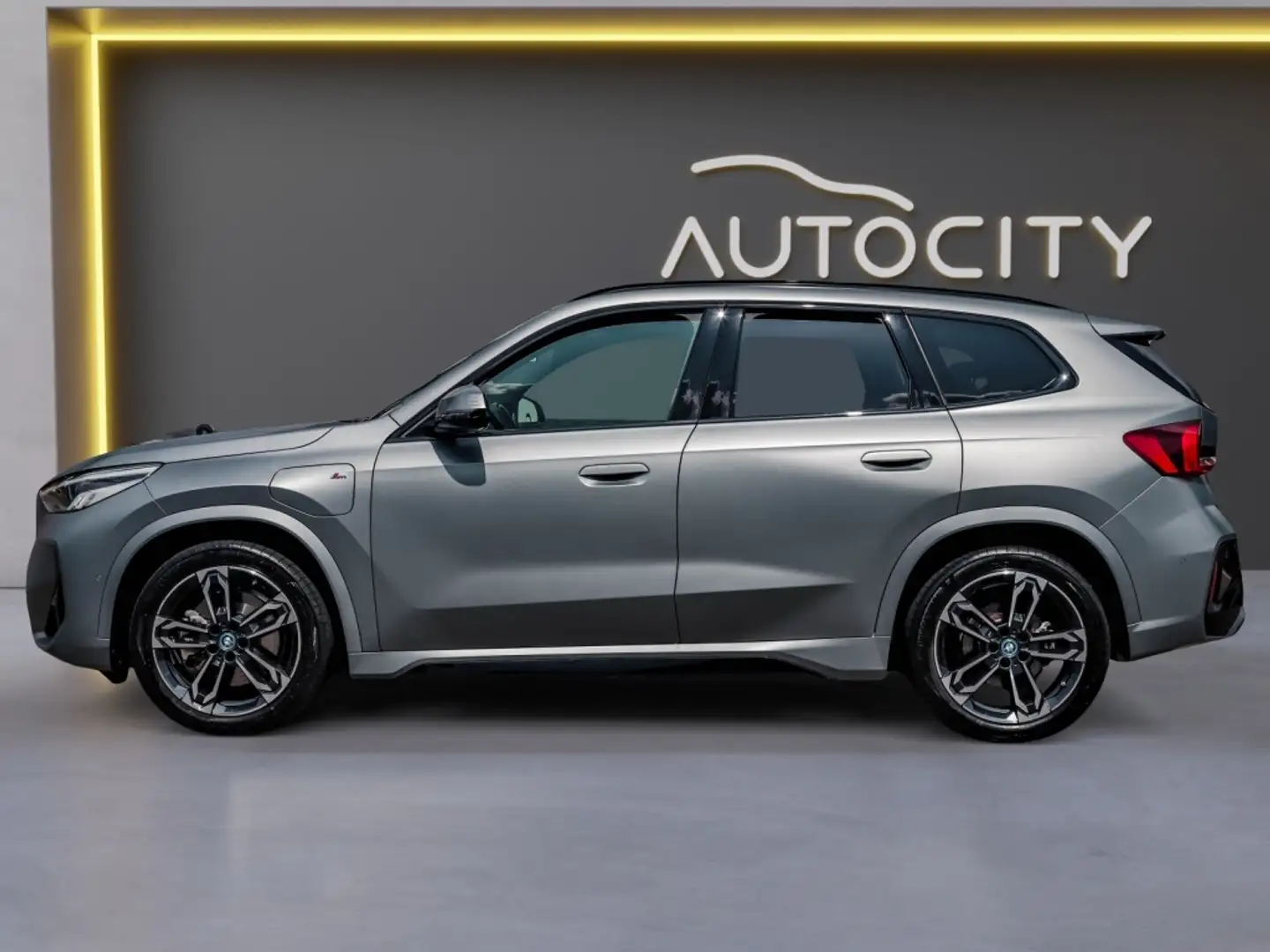 BMW X1 X1 xDrive30e xDrive M Sport Individual Frozen Grey Grijs - 2