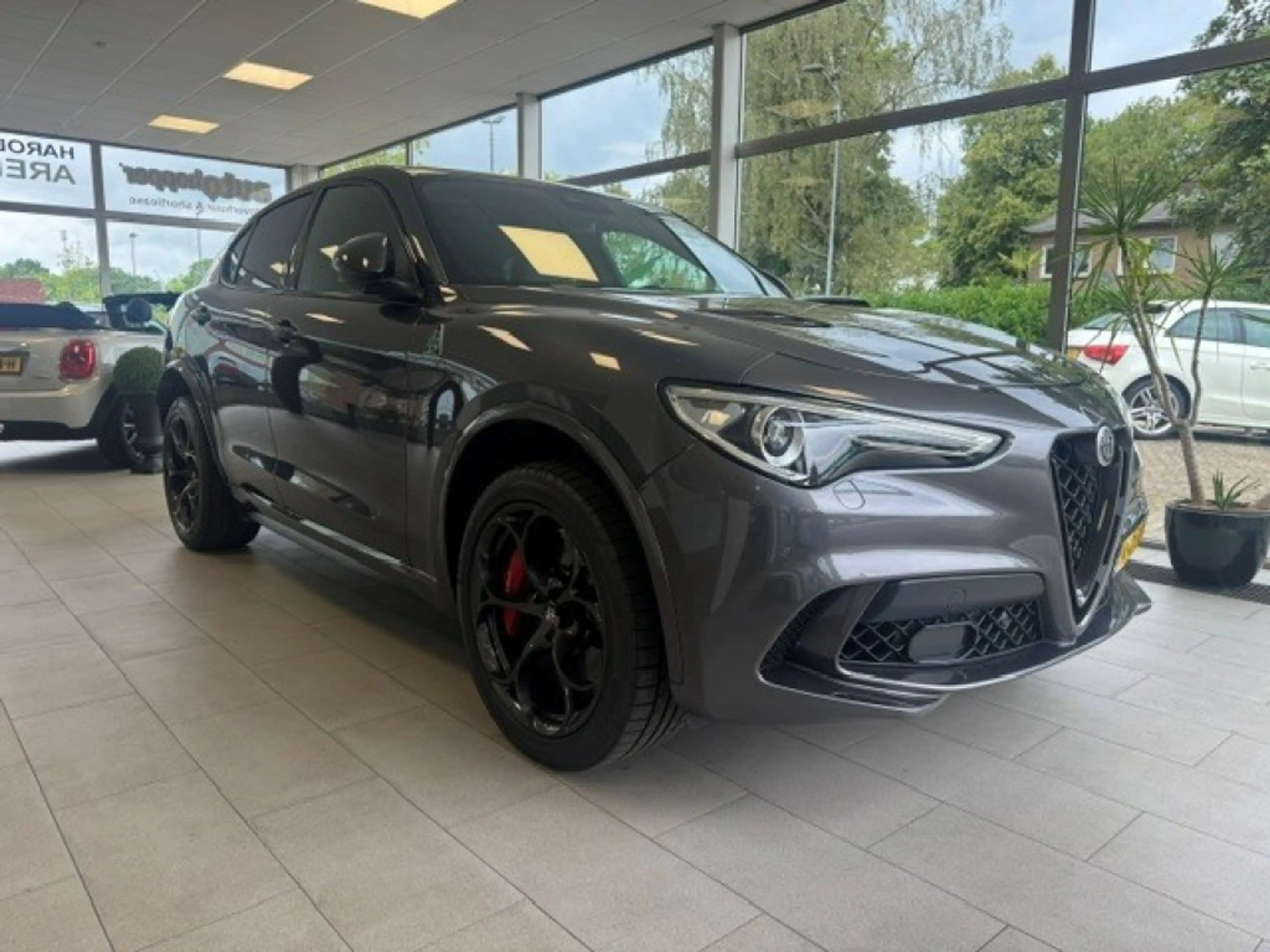 Alfa Romeo Stelvio 2.9 V6 AWD Quadrifoglio — photo 6