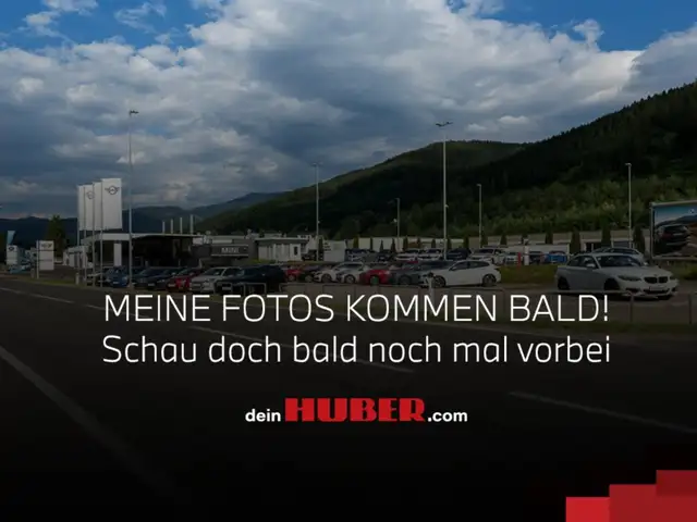 Volkswagen Beetle Beetle