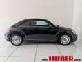 Volkswagen Beetle 1.2 TSI Bluemotion Schwarz - thumbnail 6