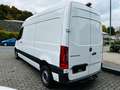 Mercedes-Benz Sprinter III Kasten 311 CDI L2*MBUX*Kamera*PDC* Blanc - thumbnail 5