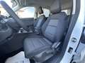 MG ZS ZS 1.5 Hybrid+ Comfort *PROMO AZZURRA* Bianco - thumbnail 14