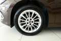 Fiat Tipo Tipo 5p 1.6 mjt Life s Marrone - thumbnail 7