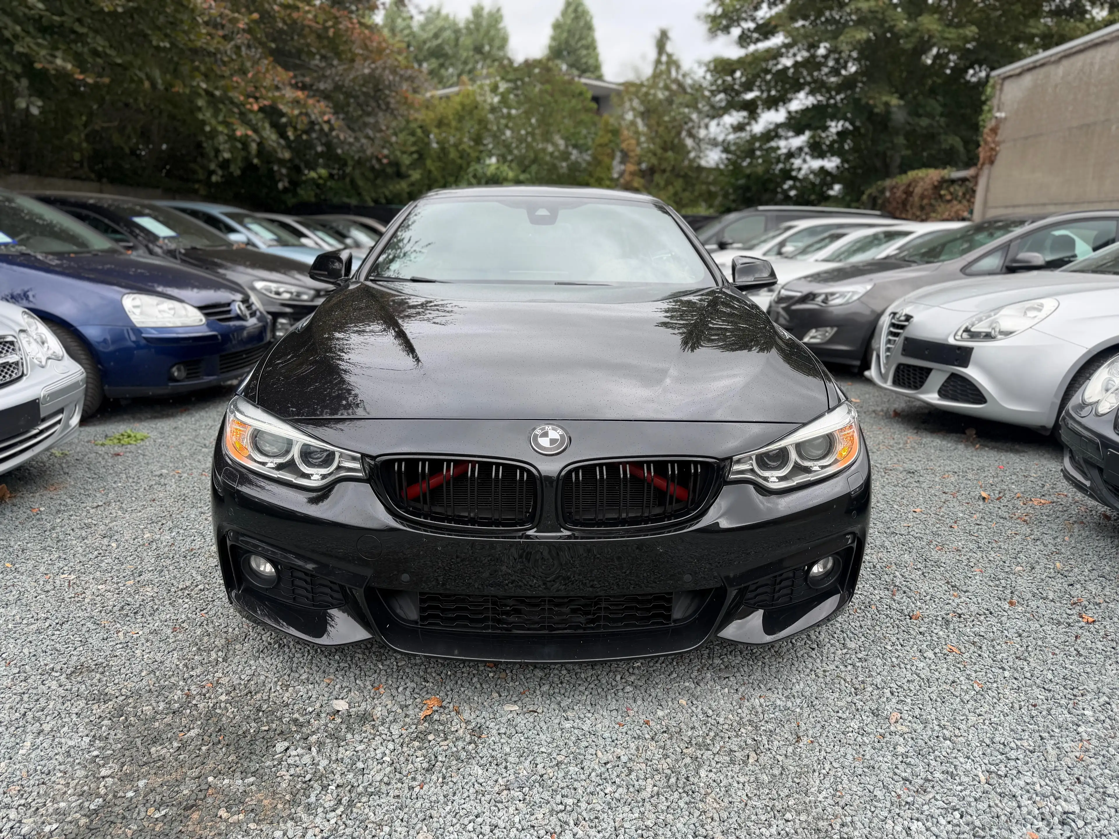 BMW 430 Cabrio 430iXAS — photo 6